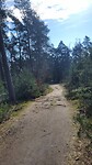 IMG-20240309-WA0037
