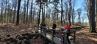 Onderweg in het bos