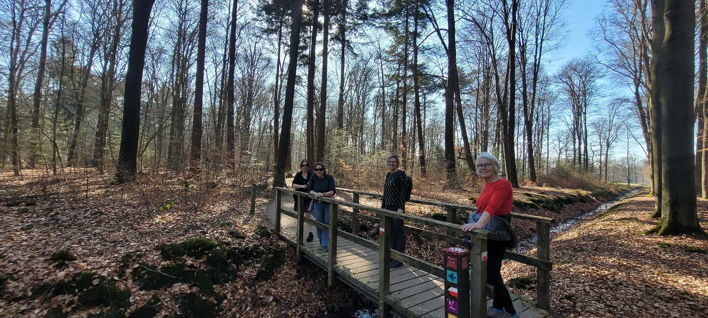 Onderweg in het bos