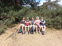 Pieterpad bankje vlakbij Wanssum