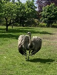 IMG_5848