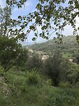 1772469E-FCB2-40C0-9677-20D362052D72