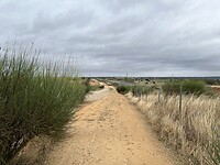 IMG_1692