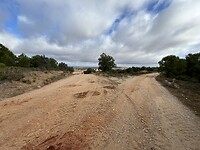 IMG_1696
