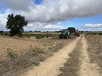 IMG_1698