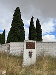 IMG_1699