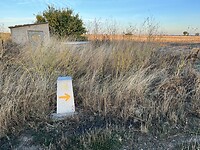 IMG_1702