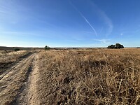 IMG_1703