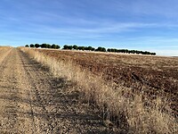 IMG_1713