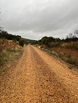 IMG_1725