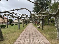 IMG_1729
