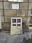 IMG_1781