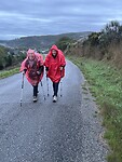 IMG_1799