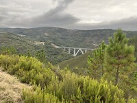 IMG_1805