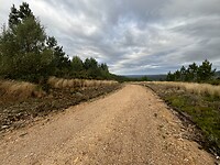 IMG_1803
