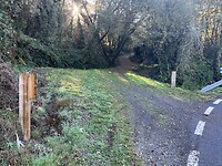 IMG_1828