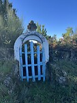 IMG_1830