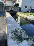 IMG_1834