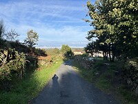 IMG_1841