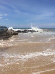 IMG_1909