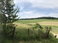 Uitzichtje