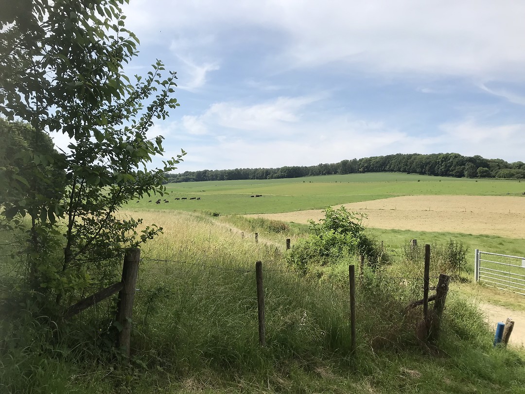 Uitzichtje