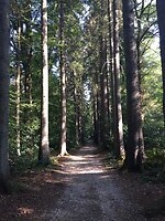 Vijlen