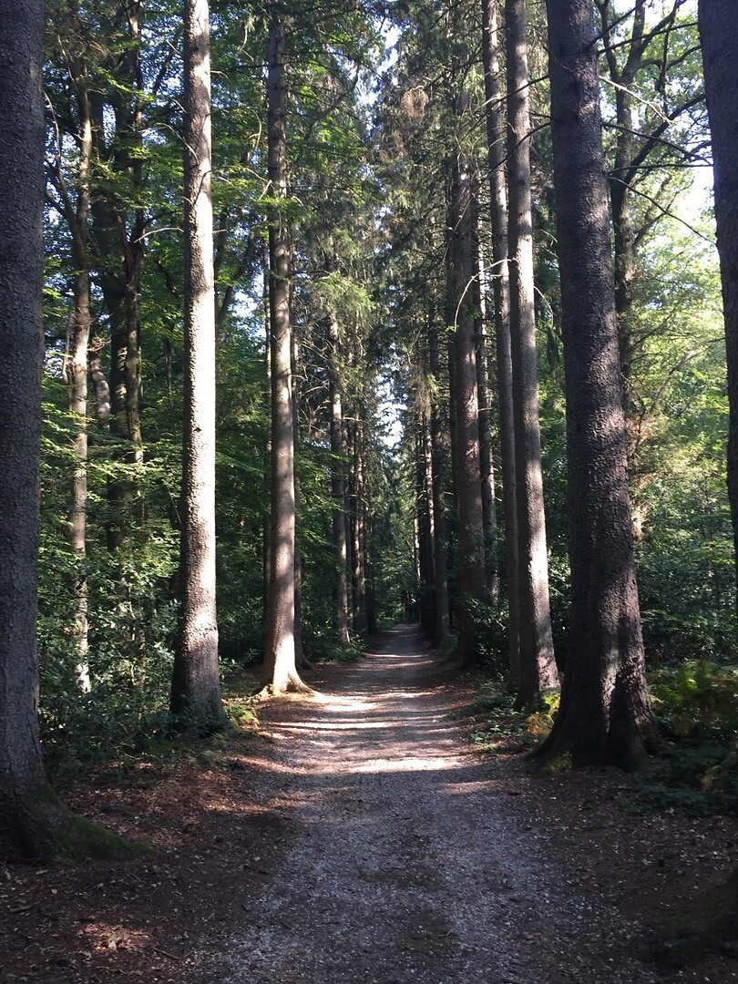 Vijlen