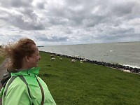 Stavoren