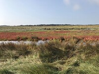 Schiermonnikoog