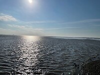 Waddenzee