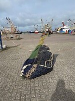 Visserijhaven Lauwersoog