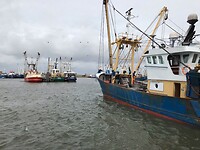 Visserijhaven