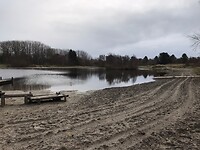 Berkenplas