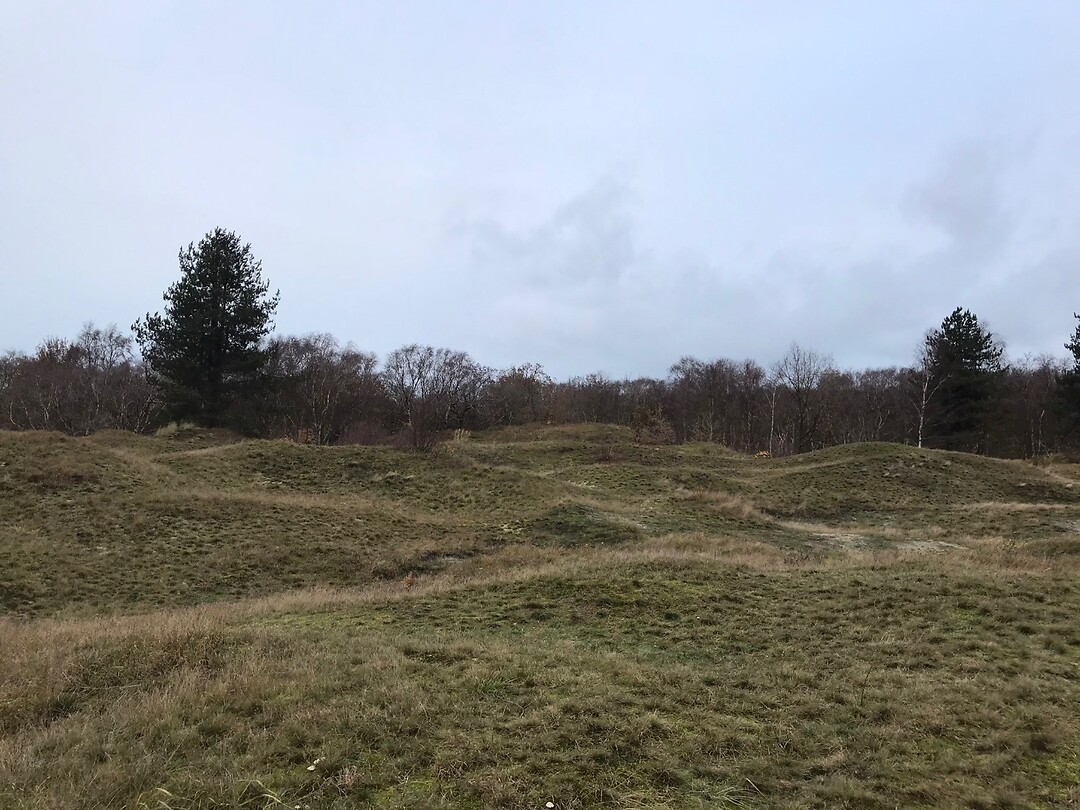 Duinen