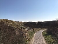 Duinen