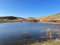 Duinen
