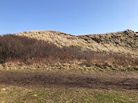 Duinen