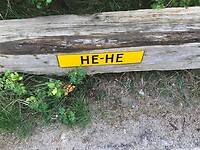Langs de badweg
