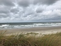 Noordzee vanuit duinpannetje