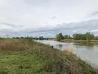 Biesbosch