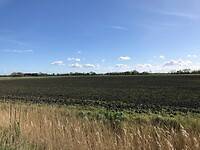 Het wijde Zeeuwse land
