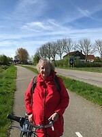 Pietie