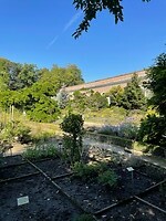 Kruidtuin