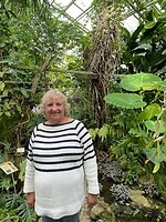 Oranjerie in kruidtuin