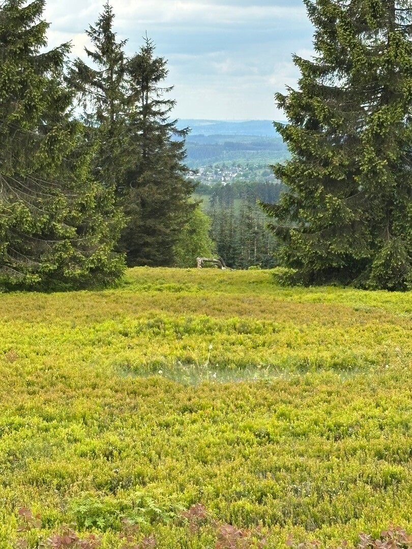 Uitzicht