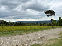 Uitzicht