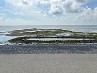 Wad uitzicht