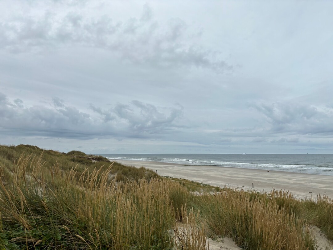 Noordzee