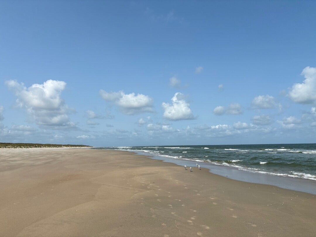 Strand